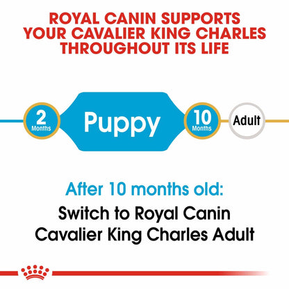 Royal Canin Breed Health Nutrition Cavalier King Charles Puppy Dry Dog Food