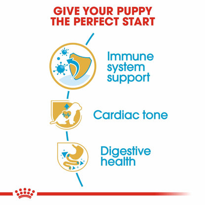 Royal Canin Breed Health Nutrition Cavalier King Charles Puppy Dry Dog Food
