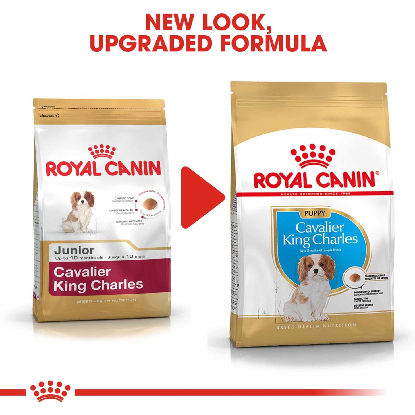 Royal Canin Breed Health Nutrition Cavalier King Charles Puppy Dry Dog Food