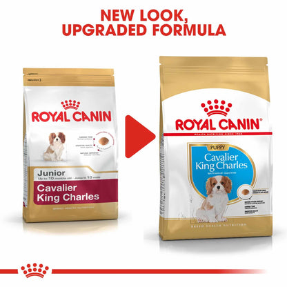 Royal Canin Breed Health Nutrition Cavalier King Charles Puppy Dry Dog Food