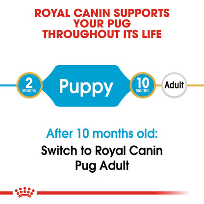 Royal Canin Breed Health Nutrition Pug Puppy Dry Dog Food
