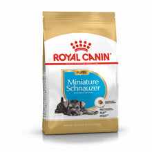 Royal Canin Breed Health Nutrition Miniature Schnauzer Puppy Dry Dog Food