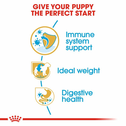 Royal Canin Breed Health Nutrition Miniature Schnauzer Puppy Dry Dog Food