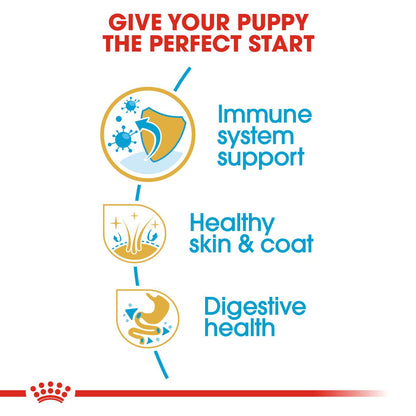 Royal Canin Breed Health Nutrition Cocker Puppy Dry Dog Food