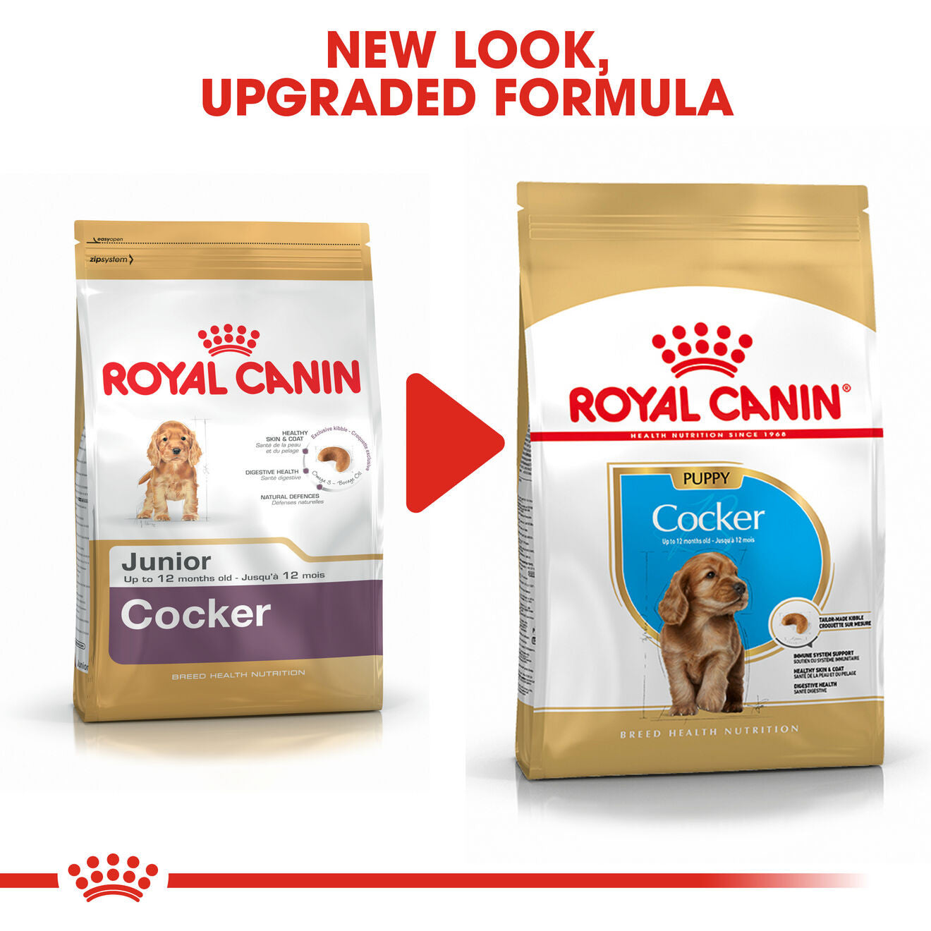 Royal Canin Breed Health Nutrition Cocker Puppy Dry Dog Food