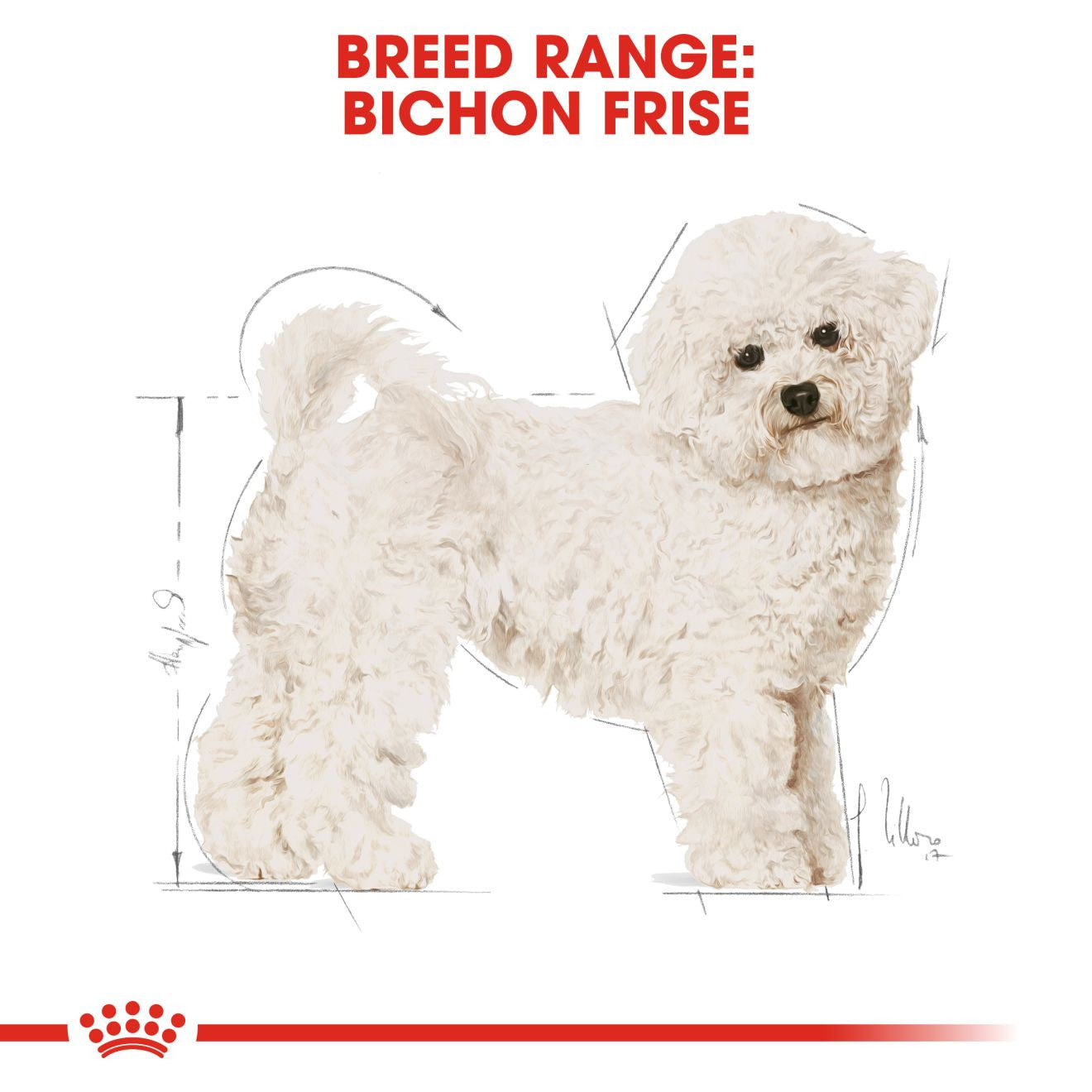Royal Canin Breed Health Nutrition Bichon Frise Adult Dry Dog Food