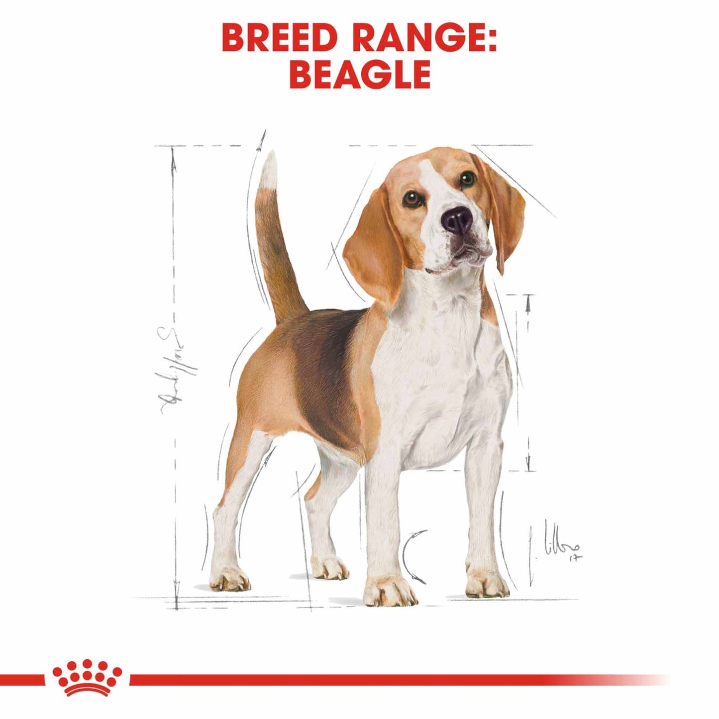Royal Canin Breed Health Nutrition Beagle Adult Dry Dog Food