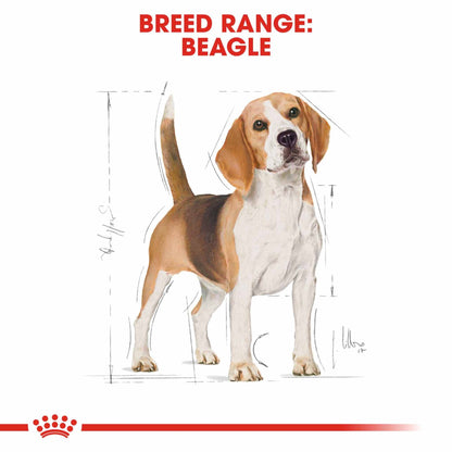 Royal Canin Breed Health Nutrition Beagle Adult Dry Dog Food