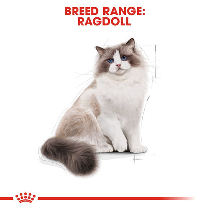 Royal Canin Breed Nutrition Ragdoll Adult Dry Cat Food