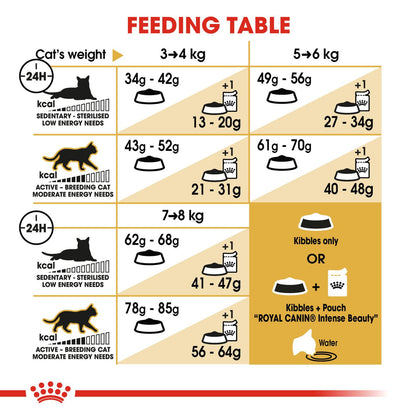 Royal Canin Breed Nutrition Ragdoll Adult Dry Cat Food