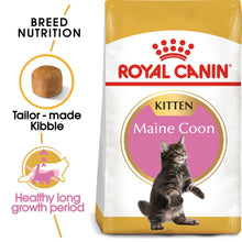 ROYAL CANIN Breed Health Nutrition Maine Coon Kitten Dry Cat Food