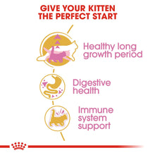 ROYAL CANIN Breed Health Nutrition Maine Coon Kitten Dry Cat Food