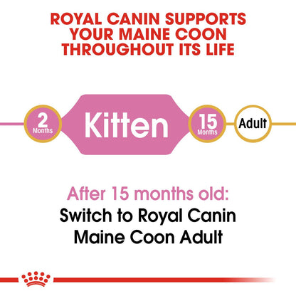 ROYAL CANIN Breed Health Nutrition Maine Coon Kitten Dry Cat Food