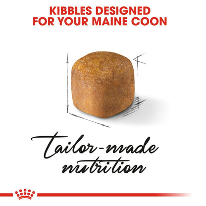 ROYAL CANIN Breed Health Nutrition Maine Coon Kitten Dry Cat Food