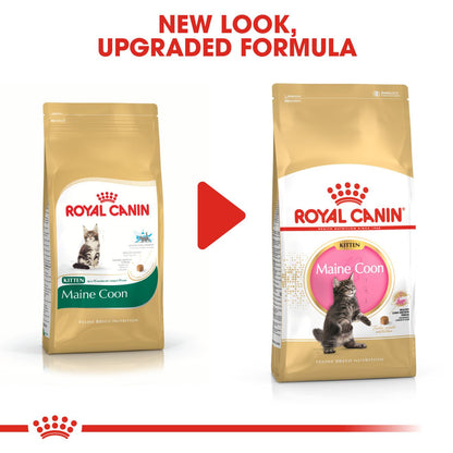 ROYAL CANIN Breed Health Nutrition Maine Coon Kitten Dry Cat Food