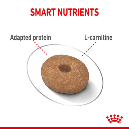 Royal Canin Mini Light Weight Care Adult Dry Dog Food