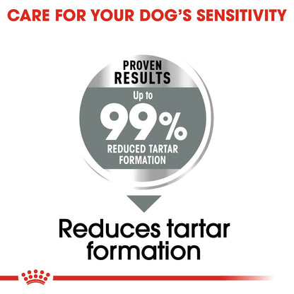 Royal Canin Size Health Nutrition Medium Dental Care Adult Dry Dog Food
