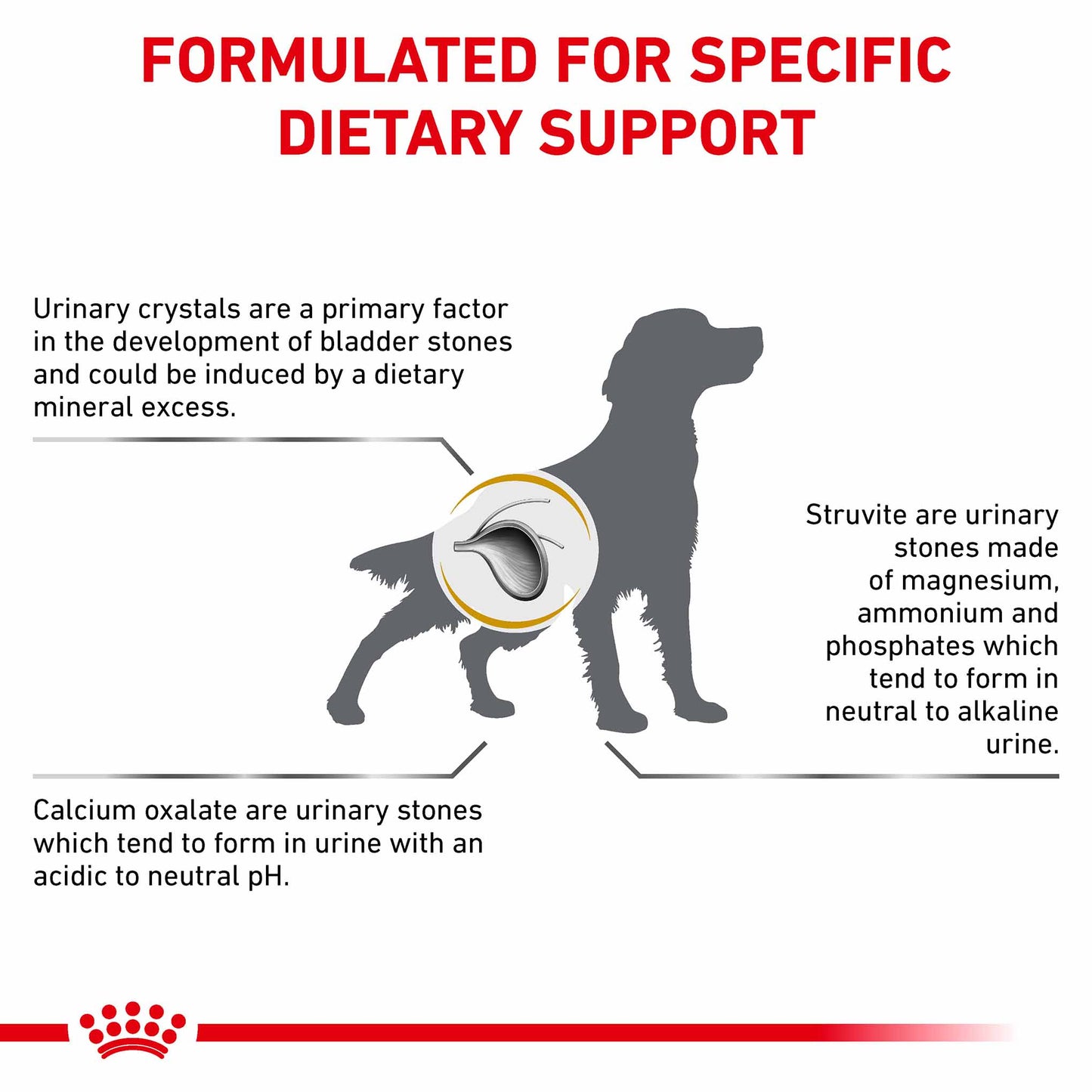 Royal Canin Veterinary Health Nutrition Urinary SO Dry Dog Food