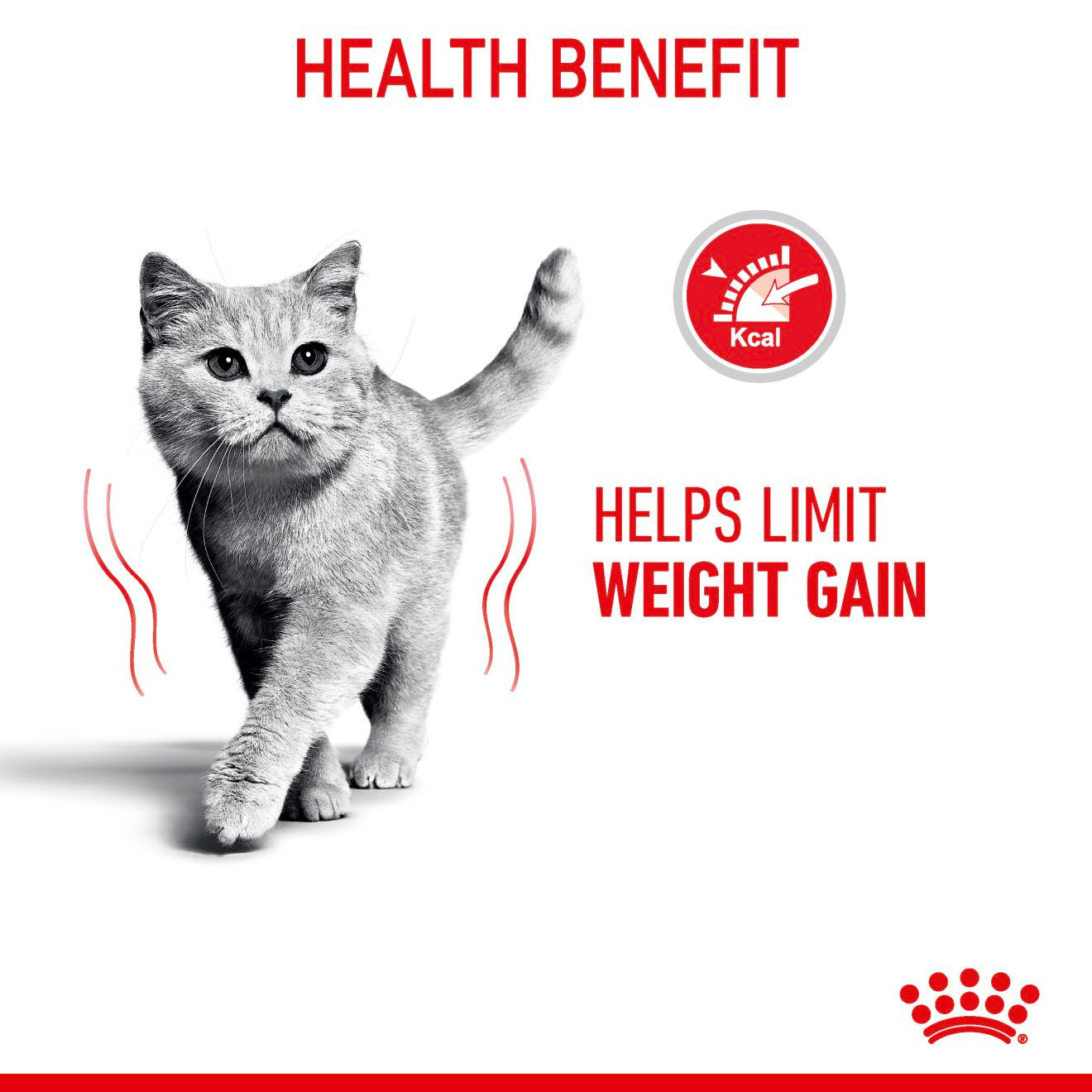 ROYAL CANIN Light Weight Care Adult Dry Cat Food