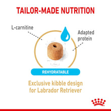 Royal Canin Breed Health Nutrition Labrador Retriever Adult 5+ Dry Dog Food