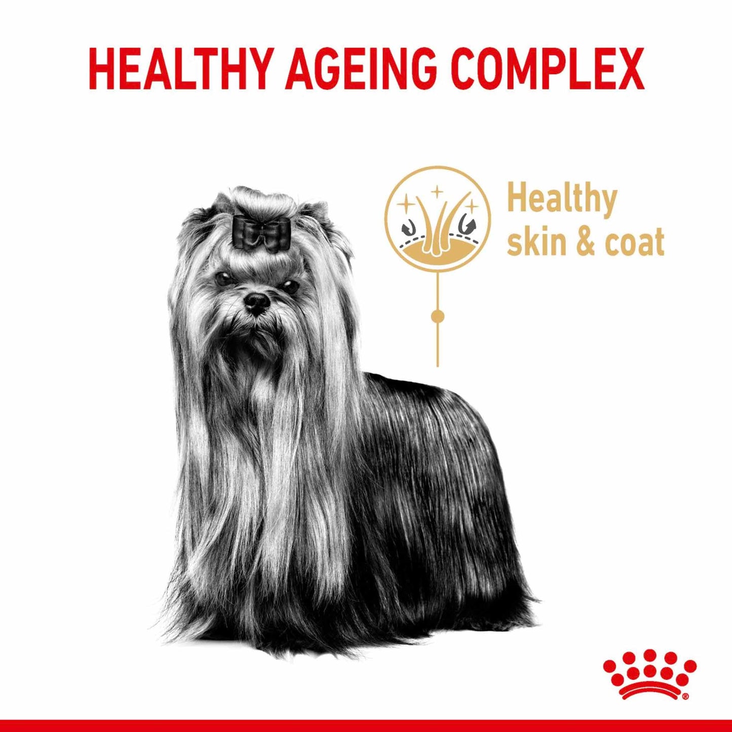 Royal Canin Breed Health Nutrition Yorkshire Terrier Adult 8+ Adult Dry Dog Food