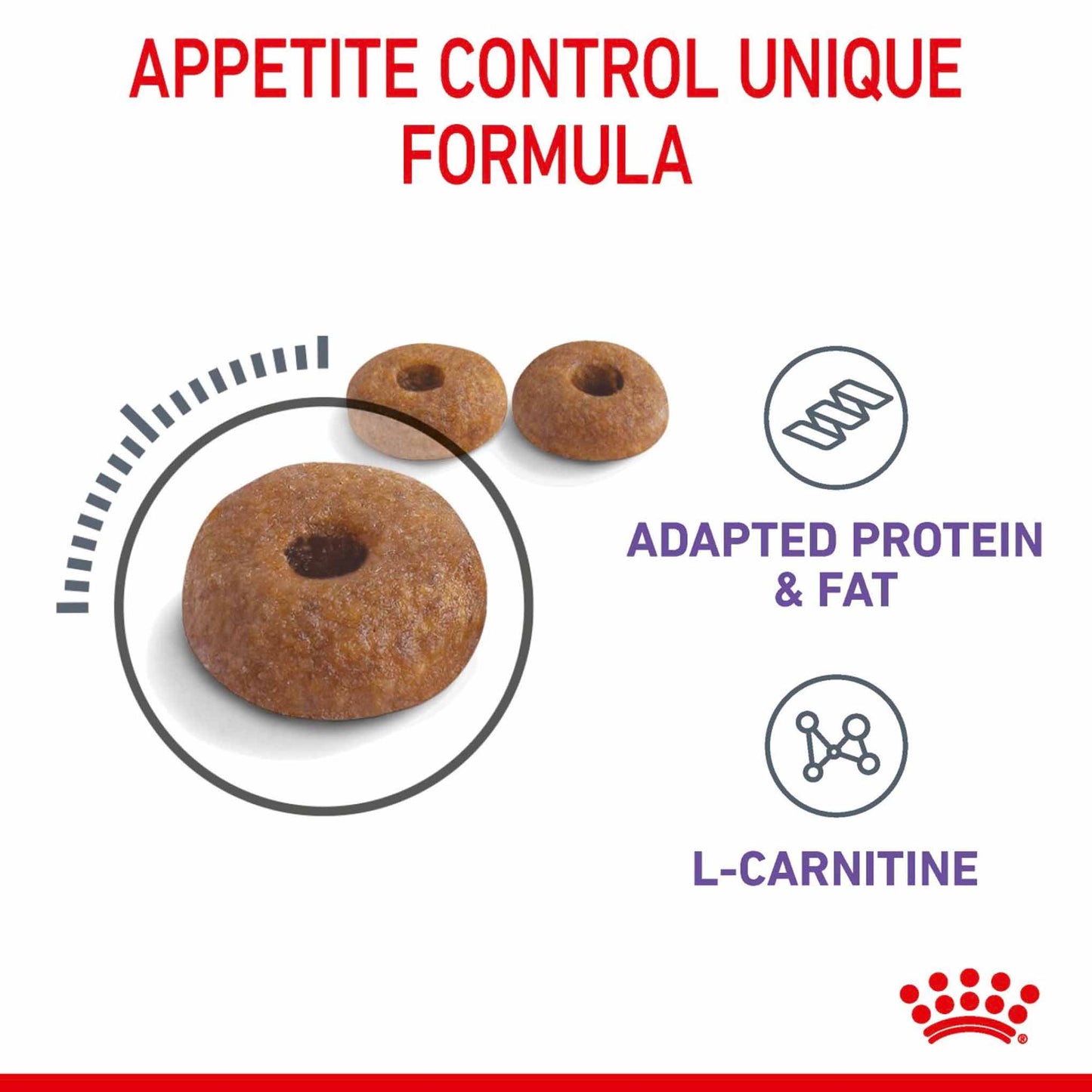 ROYAL CANIN Appetite Control Care Adult Dry Cat Food