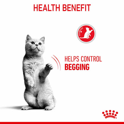 ROYAL CANIN Appetite Control Care Adult Dry Cat Food