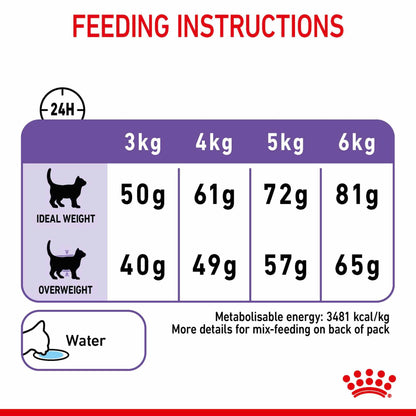 ROYAL CANIN Appetite Control Care Adult Dry Cat Food