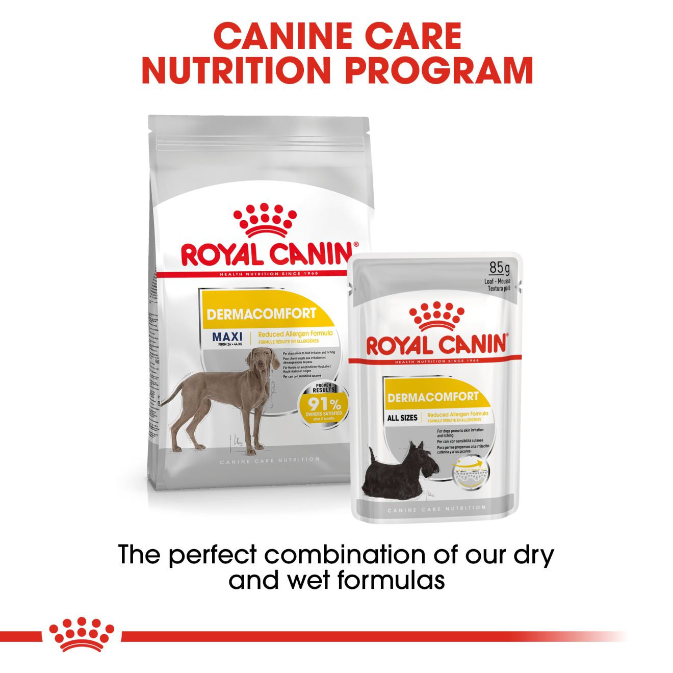 Royal Canin Size Health Nutrition Maxi Dermacomfort Care Adult Dry Dog Food