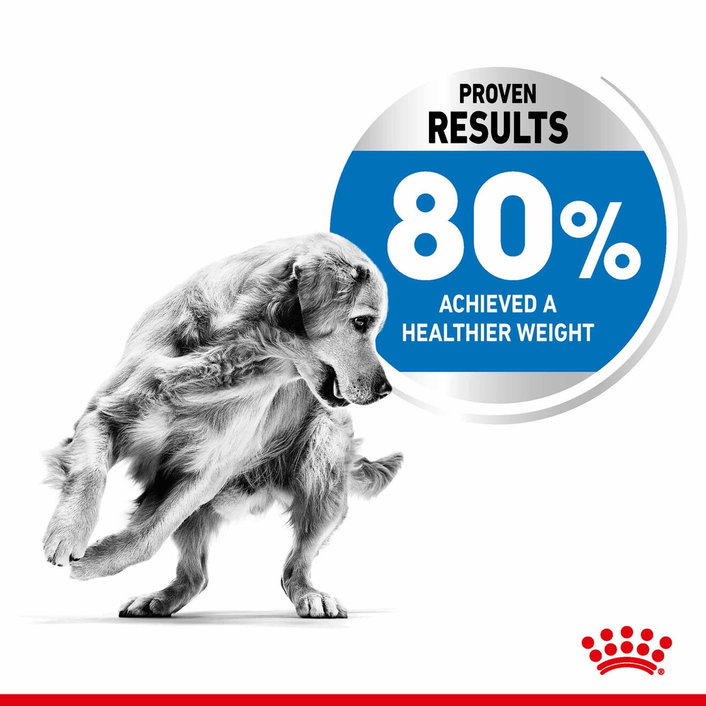 Royal Canin Size Health Nutrition Medium Light Weight Care Adult Dry Dog Food