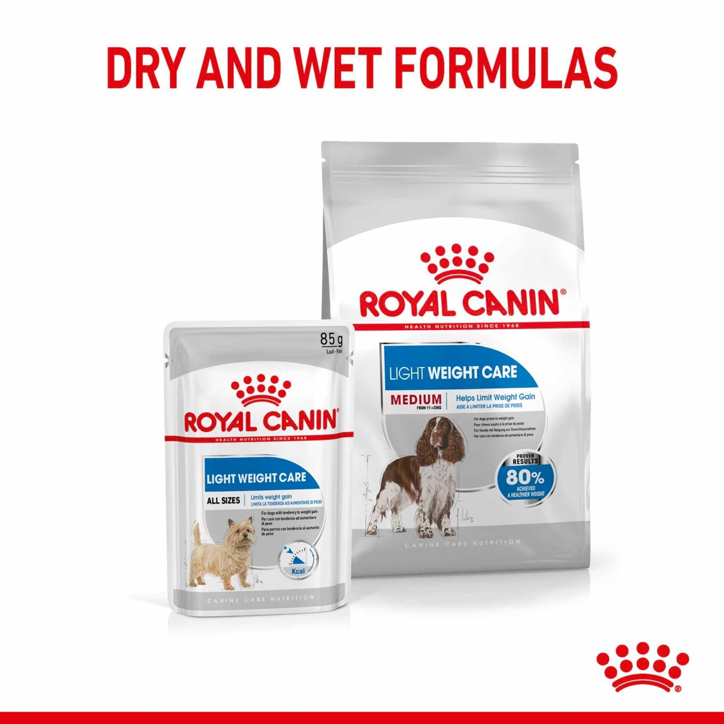 Royal Canin Size Health Nutrition Medium Light Weight Care Adult Dry Dog Food