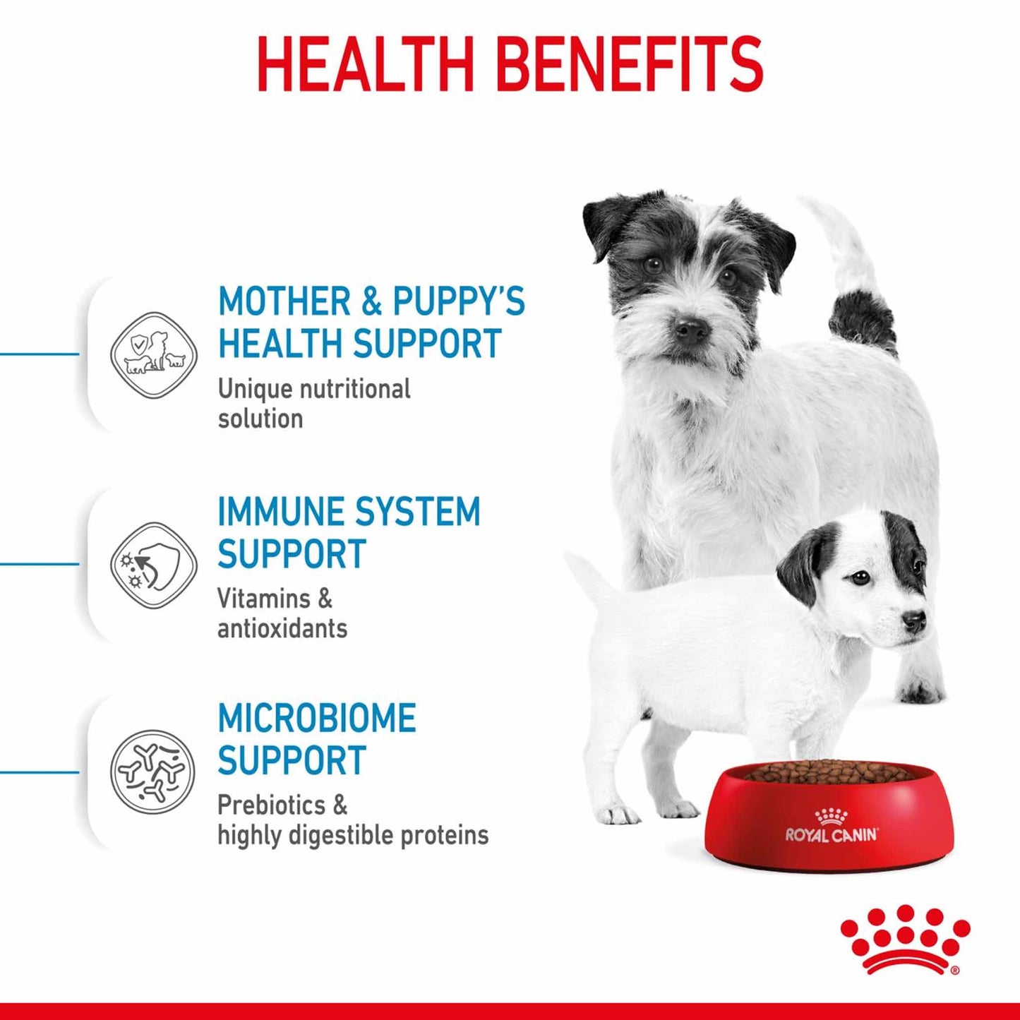 Royal Canin Size Health Nutrition Mini Starter Mother and Baby Puppy Dry Dog Food - 4kg