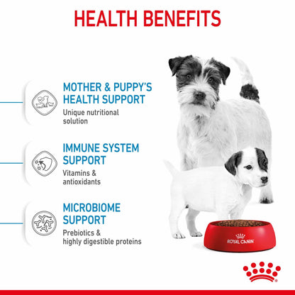 Royal Canin Size Health Nutrition Mini Starter Mother and Baby Puppy Dry Dog Food - 4kg
