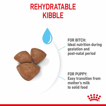 Royal Canin Size Health Nutrition Mini Starter Mother and Baby Puppy Dry Dog Food - 4kg