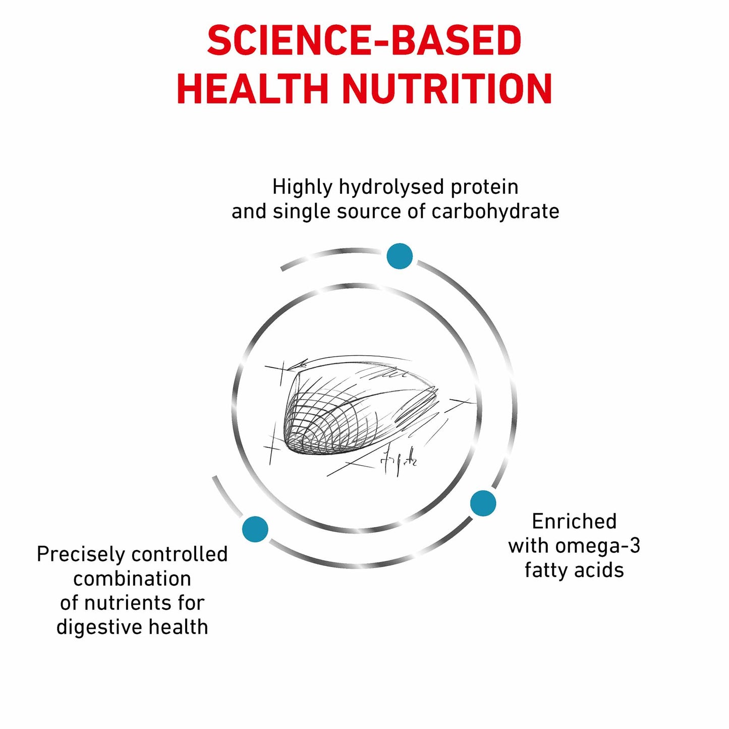 ROYAL CANIN Veterinary Hypoallergenic Adult Dry Cat Food