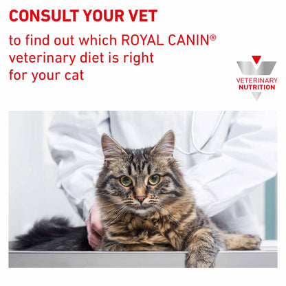 ROYAL CANIN Veterinary Hypoallergenic Adult Dry Cat Food