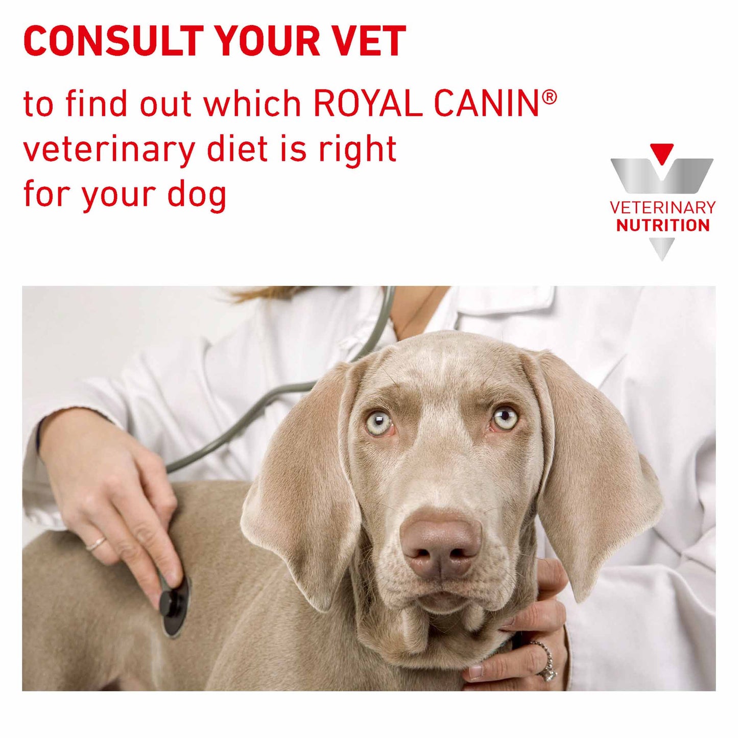 Royal Canin Veterinary Health Nutrition Hypoallergenic Adult Dry Dog Food
