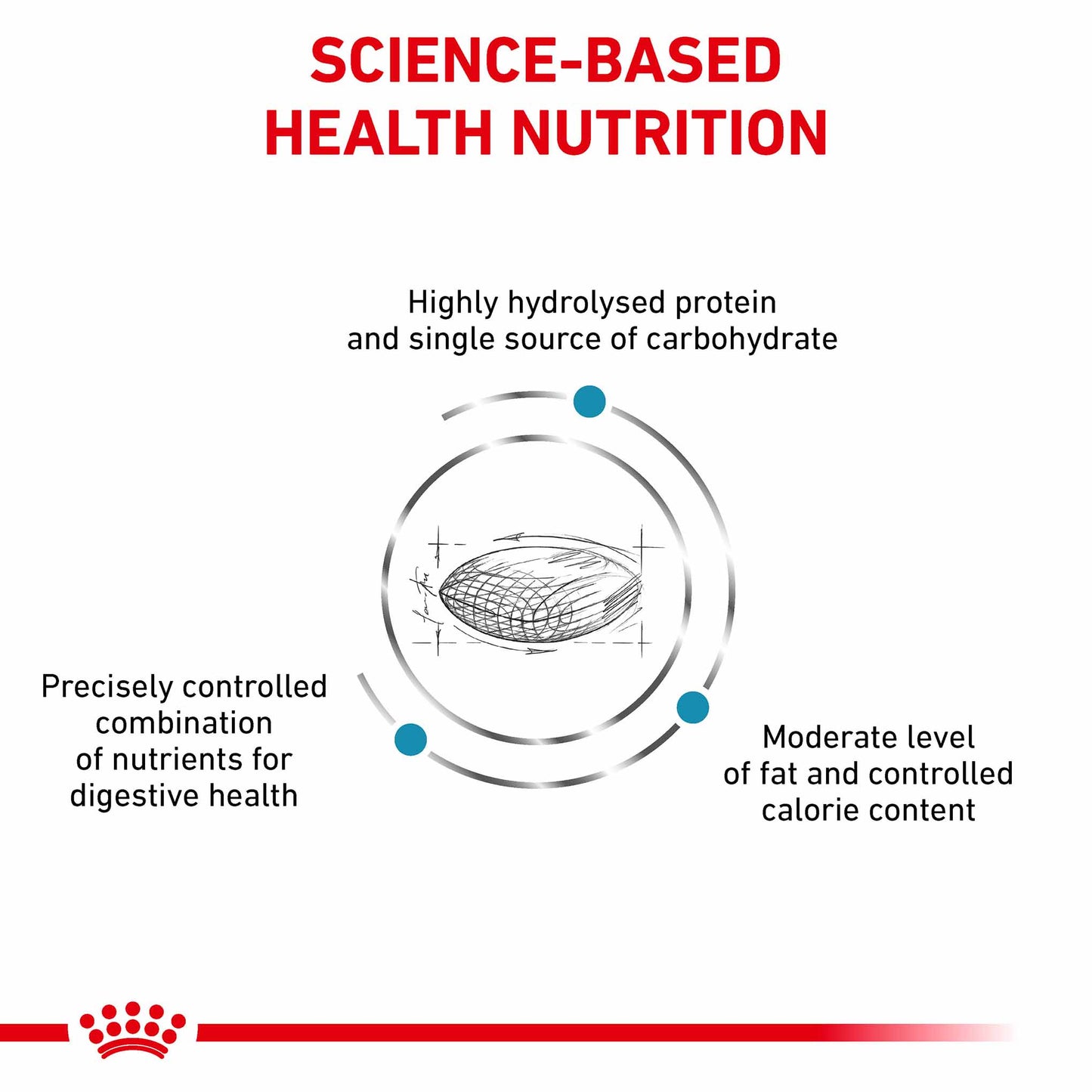 ROYAL CANIN Veterinary Hypoallergenic Moderate Calorie Adult Dry Dog Food