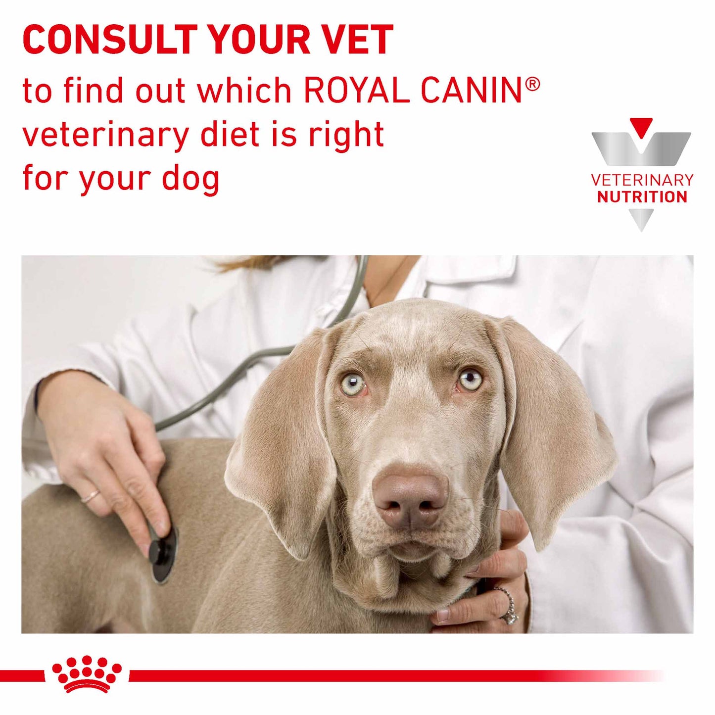 ROYAL CANIN Veterinary Hypoallergenic Moderate Calorie Adult Dry Dog Food