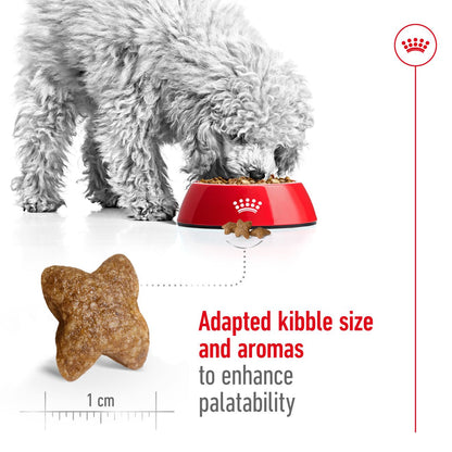 Royal Canin Size Health Nutrition Mini Adult Dry Dog Food