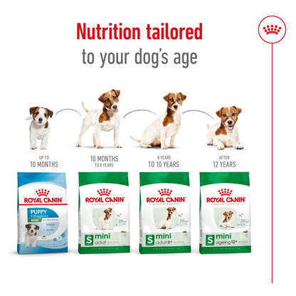 Royal Canin Size Health Nutrition Mini Adult Dry Dog Food