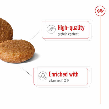 Royal Canin Size Health Nutrition Medium Adult Dry Dog Food