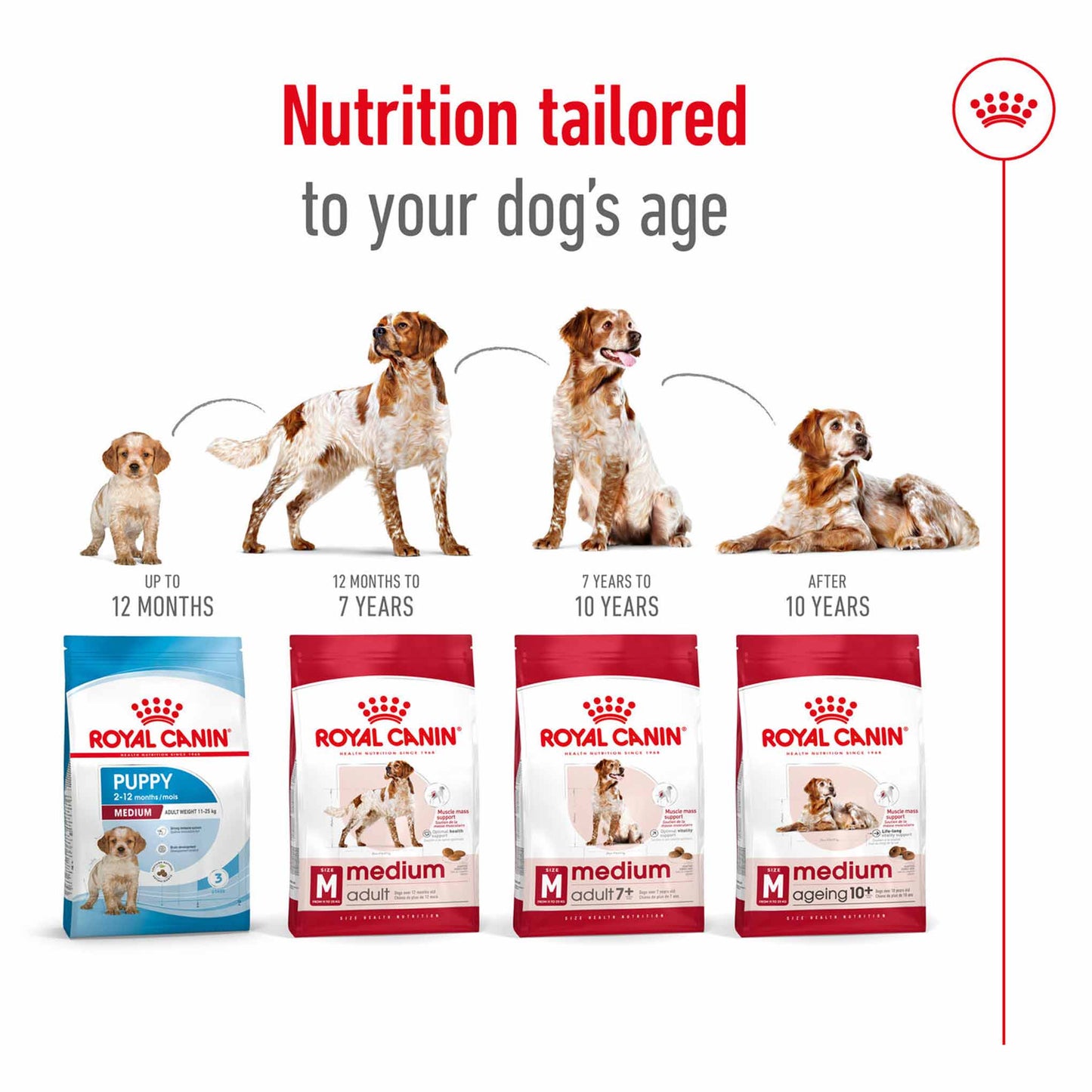 Royal Canin Size Health Nutrition Medium Adult Dry Dog Food