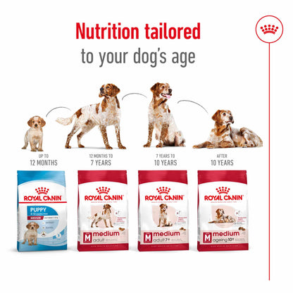 Royal Canin Size Health Nutrition Medium Adult Dry Dog Food