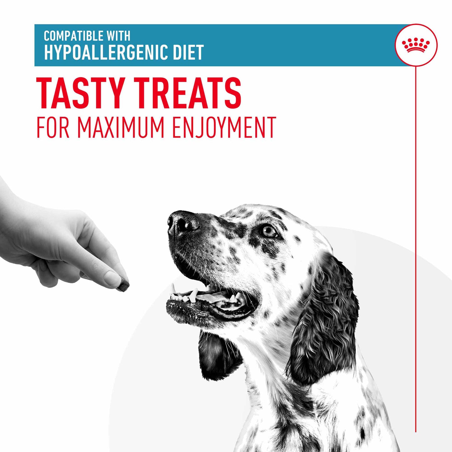 ROYAL CANIN Hypoallergenic Dog Treats - 230g