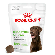 Royal Canin Dog Supplement for Digestion Soft Chews - 160g
