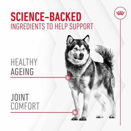 Royal Canin Dog Supplement for Joint & Ageing Soft Chews - 240g