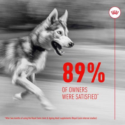 Royal Canin Dog Supplement for Joint & Ageing Soft Chews - 240g