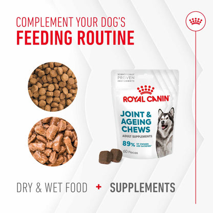 Royal Canin Dog Supplement for Joint & Ageing Soft Chews - 240g