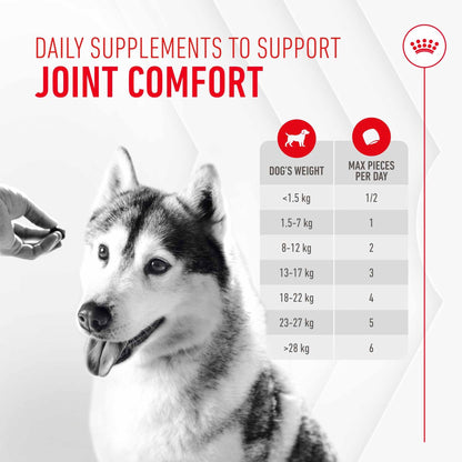 Royal Canin Dog Supplement for Joint & Ageing Soft Chews - 240g